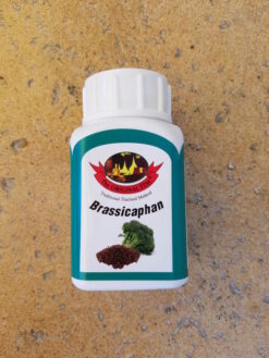 Brassicaphan