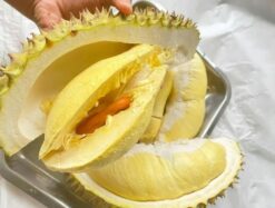 Geöffnete Durianfrucht mit gelbem Fruchtfleisch.